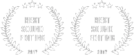 2017 Awards